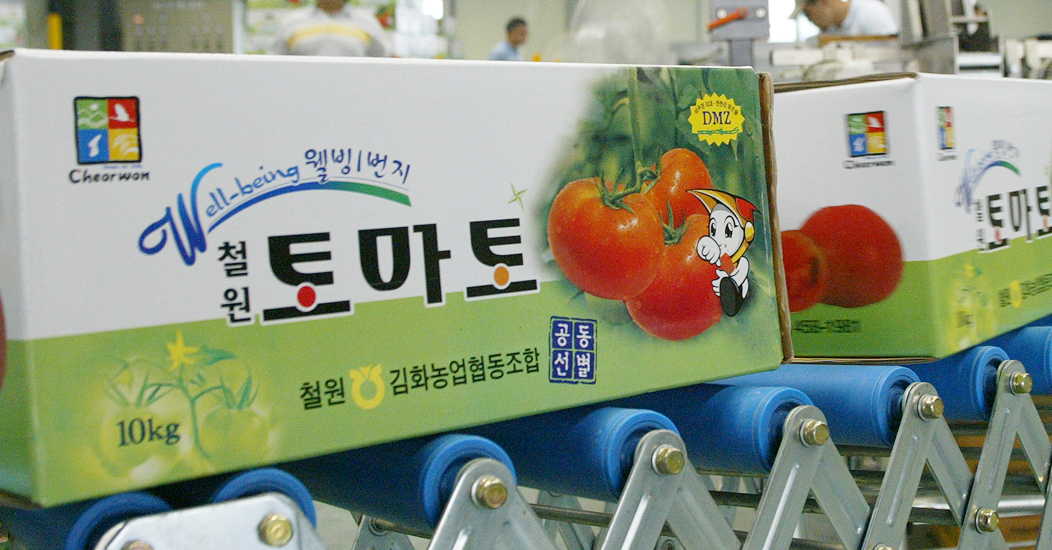 Tomatoes image3