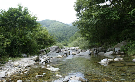 Damteo Valley image